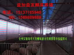 春季沼气循环养殖法 猪圈自动清理与三效降解菌种优选指南