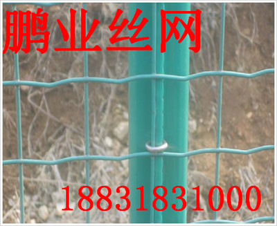 绿色养殖之选 荷兰网价格与厂家直销全解析 — 安平县鹏业丝网制品厂推荐